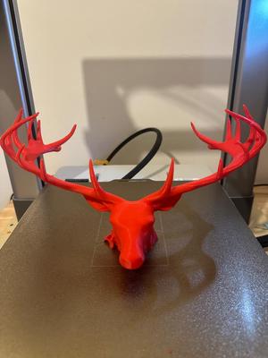 Stag head