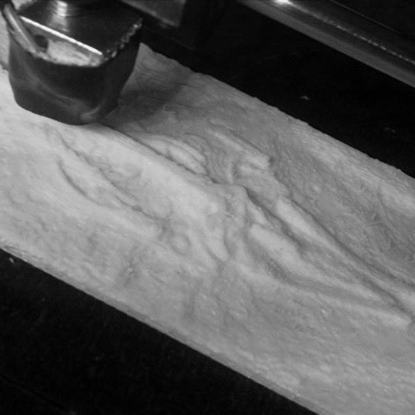 Fossil Whale Optimized for Desktop 3D Printing