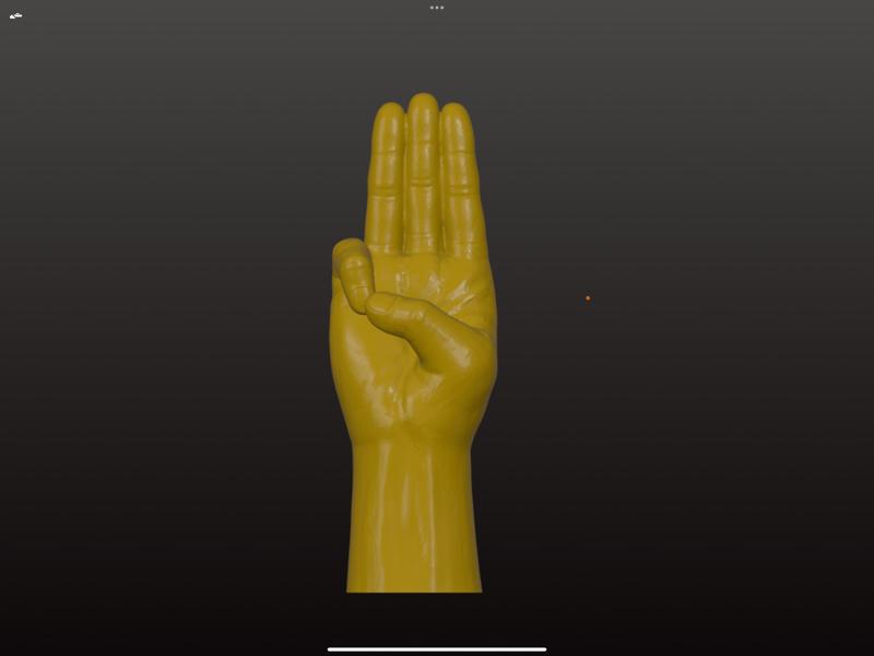 Three Finger Salute - HG BOSAS and SOTR Bookshelf Decor