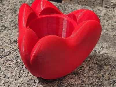 Heart Shaped Pot - Valtentine's Day