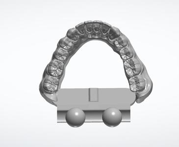 Dental demonstration and training models