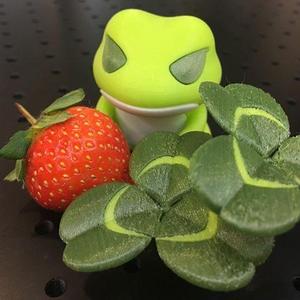 Travel Frog Creeping-Oxalis / 旅行青蛙 三葉草