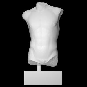 Torso