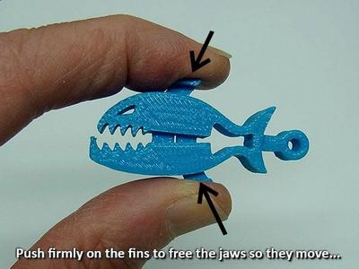 Piranha cliper - key fob