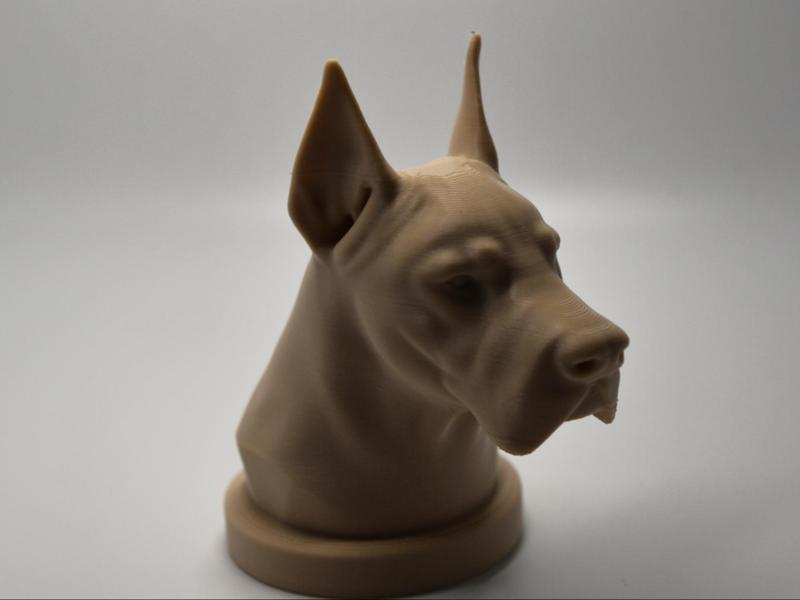 Great Dane  bust