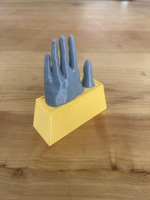 HAND OF THE DESERT AWARD