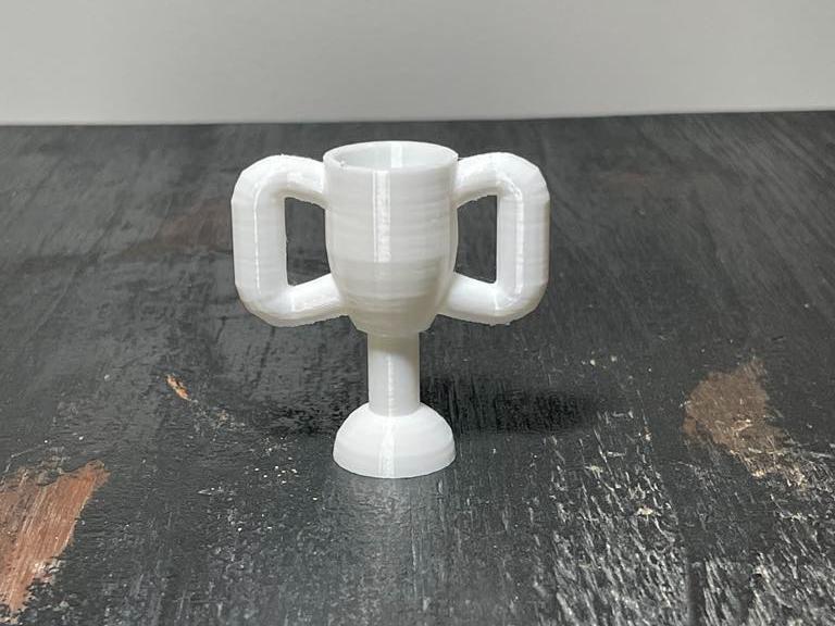 Big Brick Trophy 500%