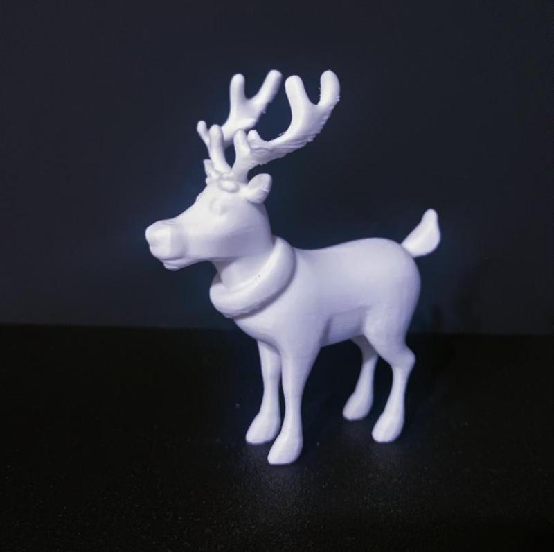 Rudolph the reindeer