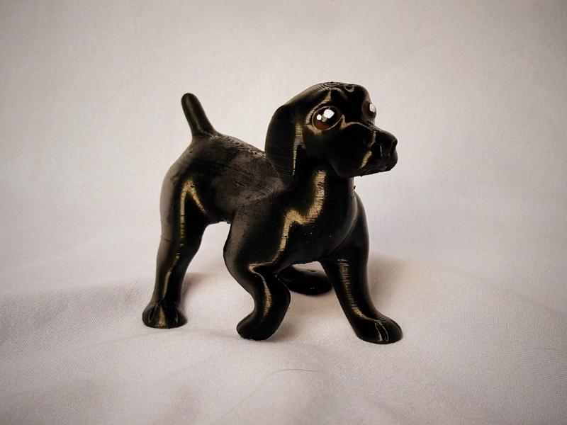 German Shorthaired Pointer