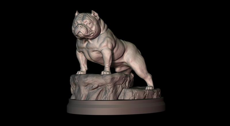 American Bully Pocket Rock