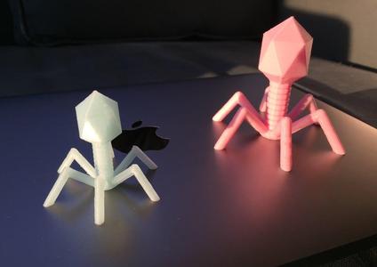 Bacteriophage T4