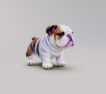 BULLDOG PUPPY DOG