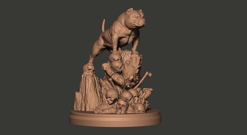 American Bully Craneos