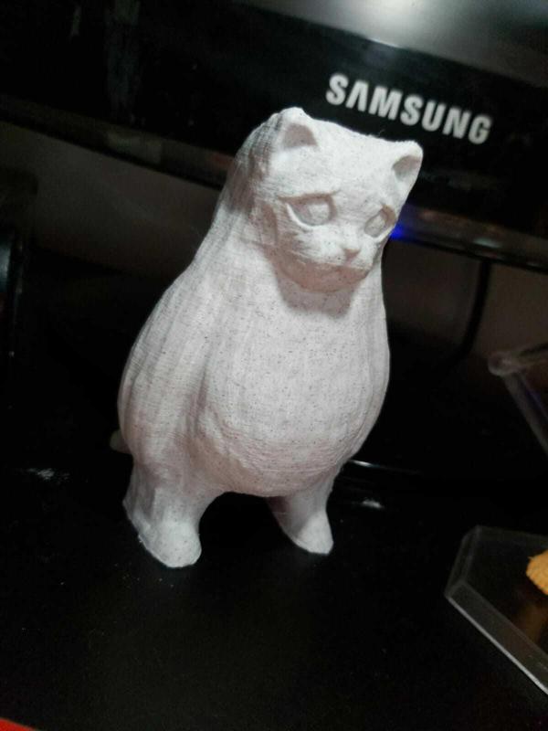 Sad Fat Cat / Systemcoco