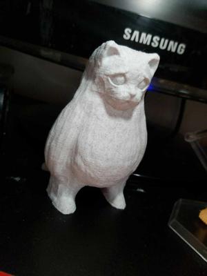 Sad Fat Cat / Systemcoco