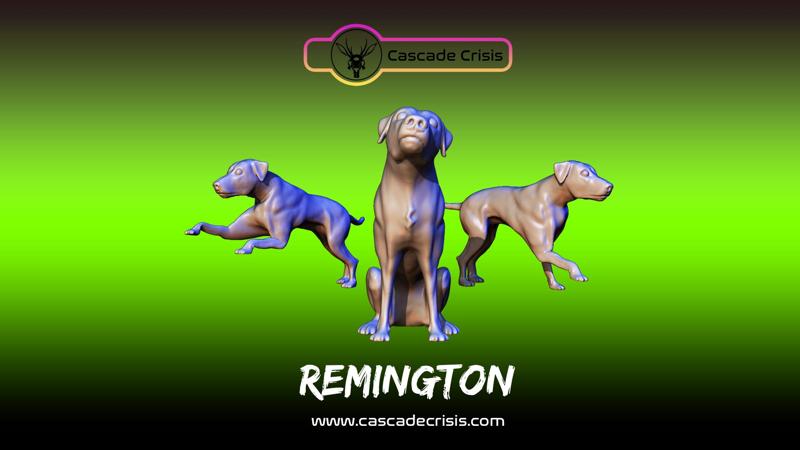 Remington (Dog) 3 Poses