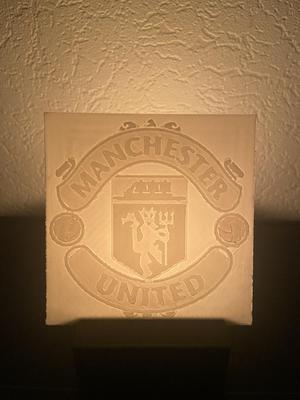 Manchester United logo photo