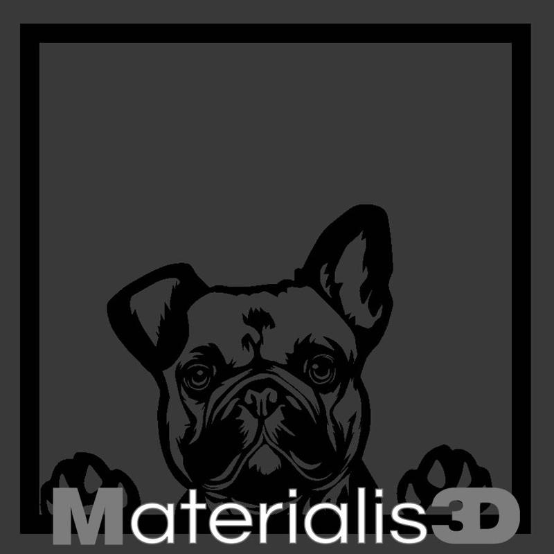 Female French Bulldog picture frame