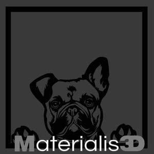 Female French Bulldog picture frame