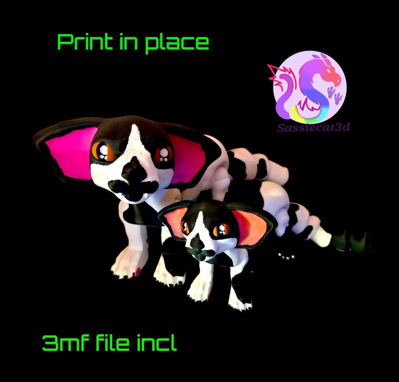 Oriental Shorthair Cat *Personal Use*