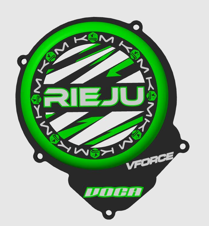 RIEJU IGNITION COVER