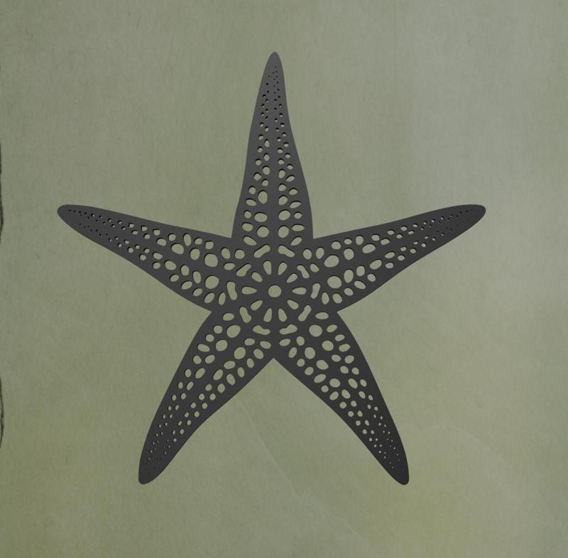 Starfish Wall Art