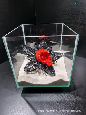 Betta Fish Flower Cave | Unique Fish Tank Design Betta Playground | Functional Aquarium Voronoi Decoration
