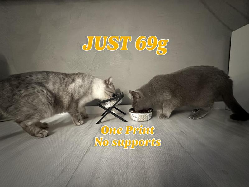 Timeless Cat bowl holder .. No support! No glue!