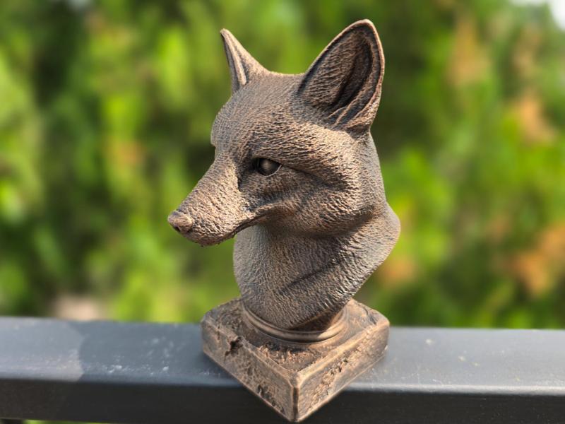 FOX BUST