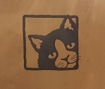 cat pictures 