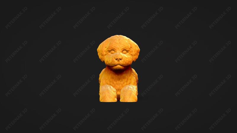 Bichon Frise Dog 3D Print Model Pose 07