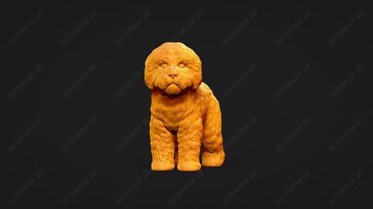 Bolognese Dog 3D Print Model Pose 02