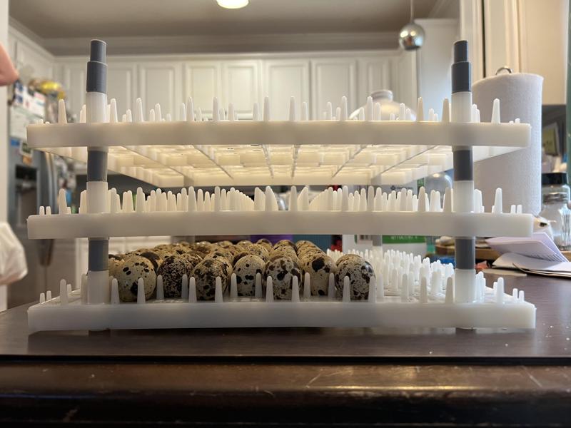 Quail Egg Tray Spacer