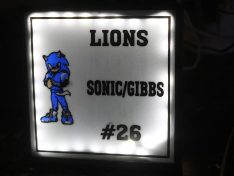 FRAMED GIBBS/SONIC LIGHT BOX LIONS