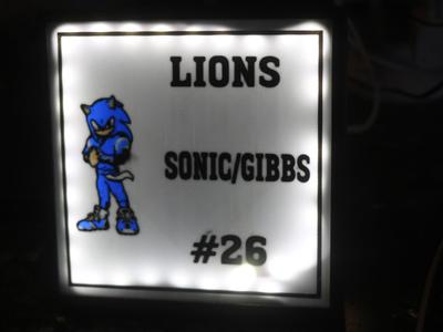 FRAMED GIBBS/SONIC LIGHT BOX LIONS
