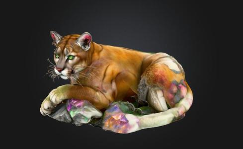 Cougar