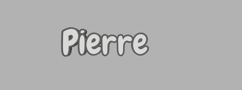 two-tone key ring - Pierre