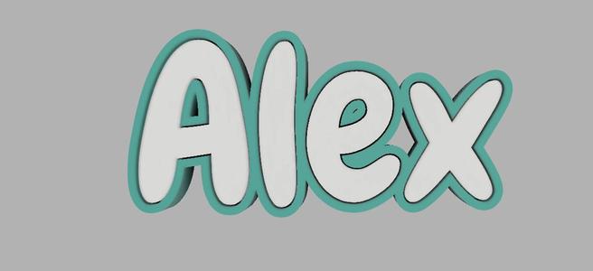 Two-tone key ring - Alex