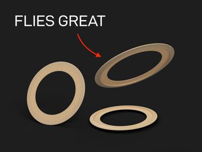 Frisbee / Flying Ring Disc