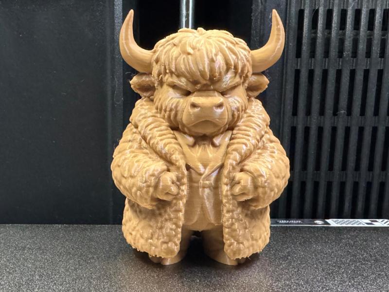 Highland Cattle Mafia Boss