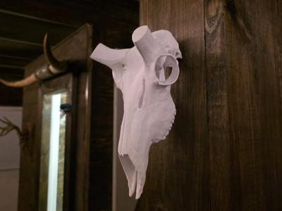 Pronghorn Horn Mount Skull