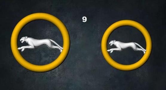 jaguar golden eagle in game of thrones