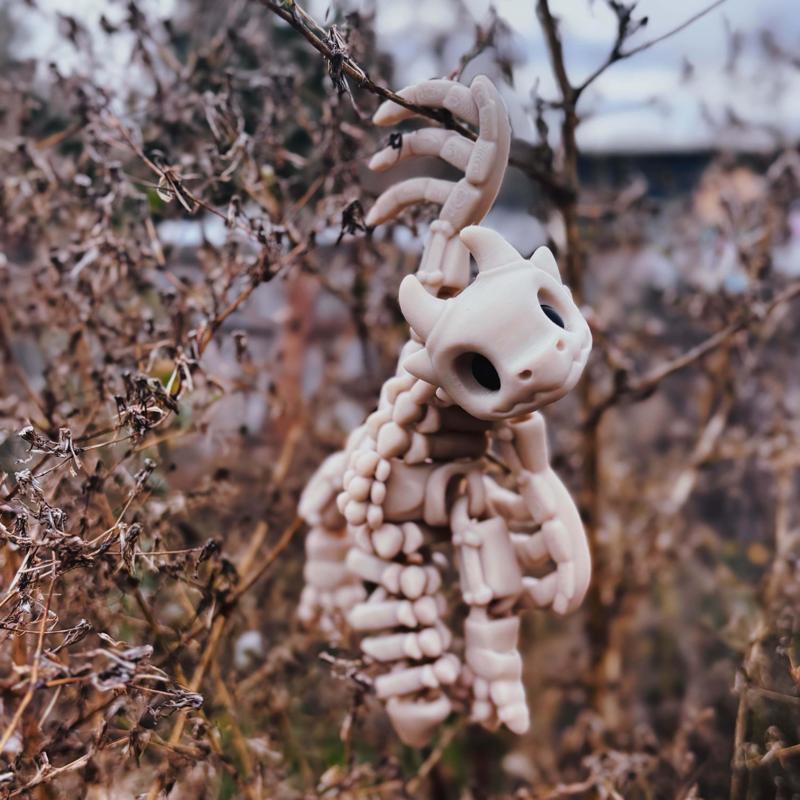 Baby Bone Wyvern 🖤🦴