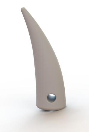 Alligator Tooth Pendant