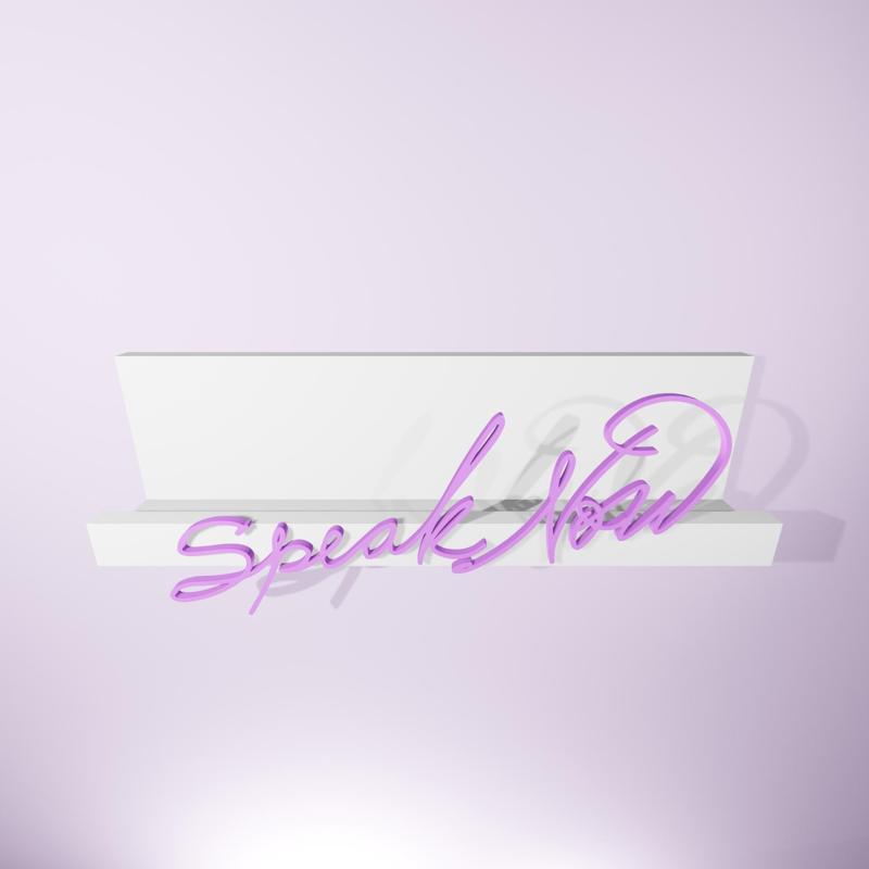 Taylor Swift CD Stand Wall Holder - Speak now