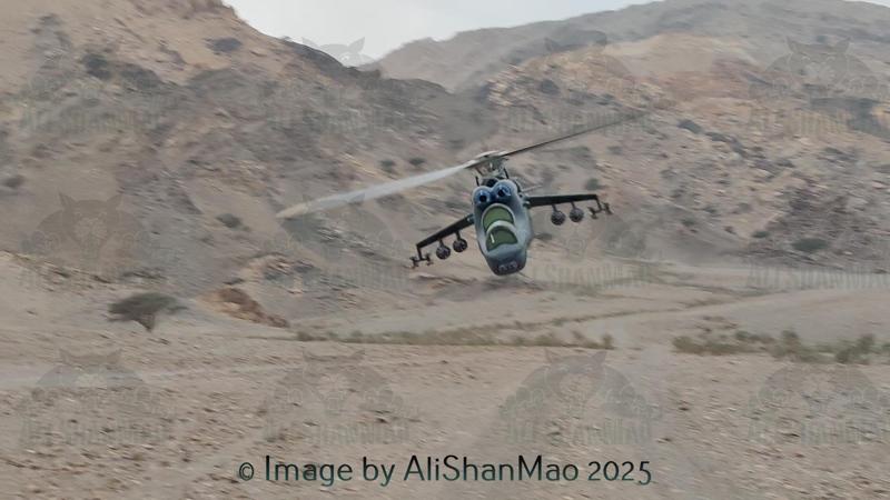 Mi24 Hind Inspired Gunship RC Helicopter for FlyWing FW450 V3 Mechanics