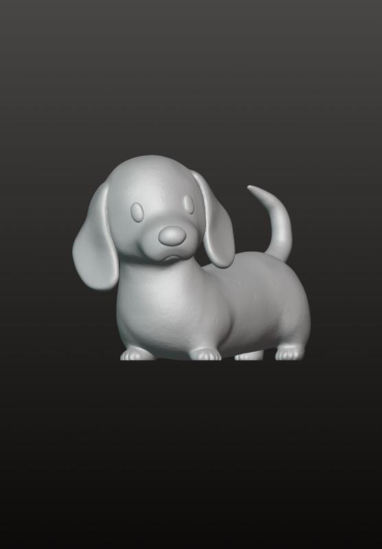 Dachshund Puppy