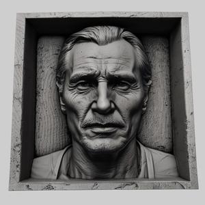 Liam Neeson head relief actor