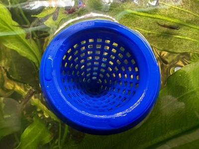 Floating Fish Feeder Basket