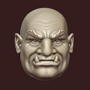 ORC head